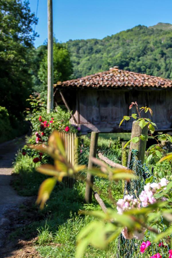 Вилла Casa Clarita Канио Экстерьер фото